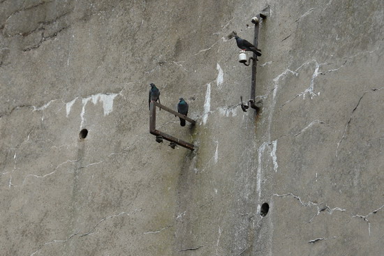 Müsteşarlıktan Haliç Tersanesine Gezi 21