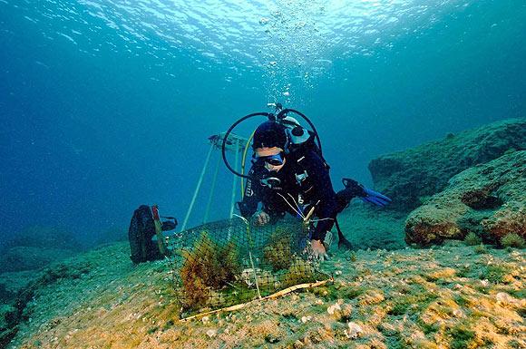 Akdeniz ve Ege'nin dibi bozkır gibi 2
