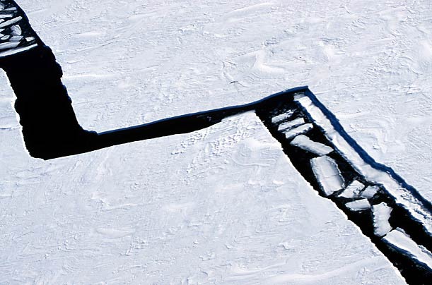 Antartika buzulları altında yaşam 12