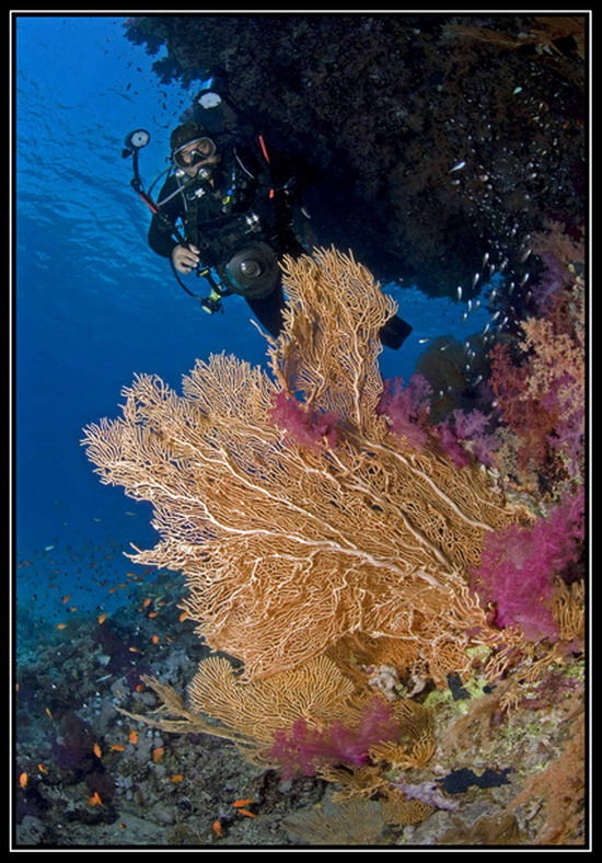 Bodrum müzesinde sualtı sergisi 1