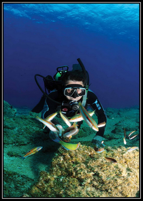 Bodrum müzesinde sualtı sergisi 2