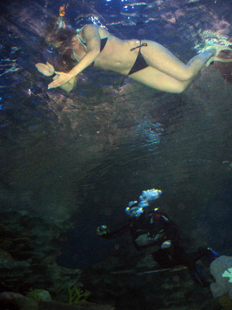 Köpekbalıklarıyla antrenman yaptı 3