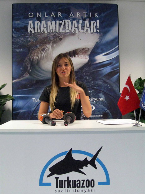 Köpekbalıklarıyla antrenman yaptı 5