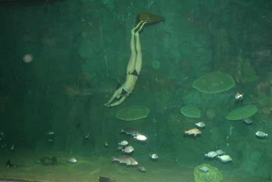 Köpekbalıklarıyla antrenman yaptı 7