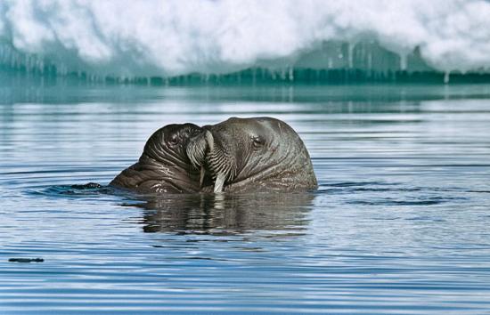 Sualtında büyüleyici dakikalar 14