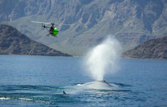 Sualtında büyüleyici dakikalar 16