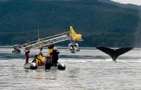 Sualtında büyüleyici dakikalar 2