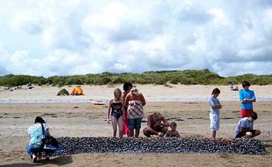 Denizden çıkan garip yaratık 9