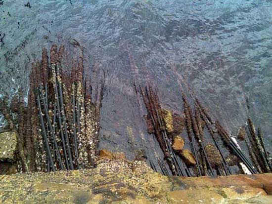 Dünyaya bu kablolarla bağlanıyoruz 3