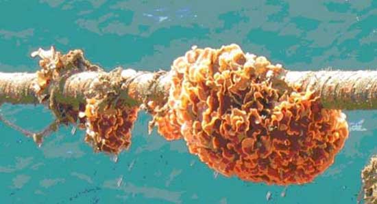 Dünyaya bu kablolarla bağlanıyoruz 7