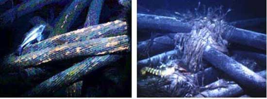 Dünyaya bu kablolarla bağlanıyoruz 9