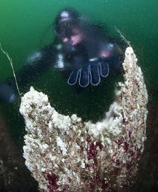 İki kıta böyle ayrılıyor 11