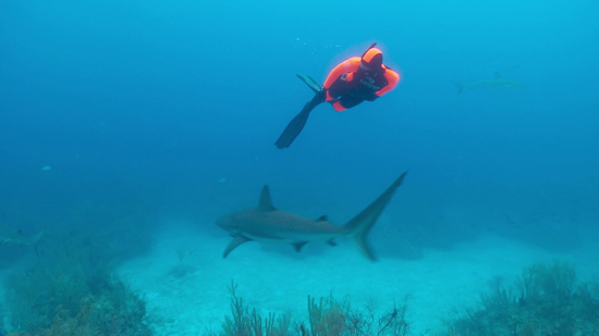 Yasemin Dalkılıç ‘Enerjini Doğru Kullan’ projesinde yer aldı 9
