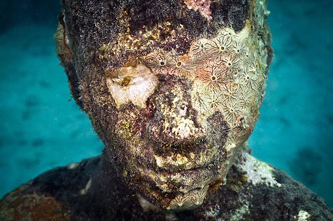 Dünyanın en büyük sualtı müzesi 3