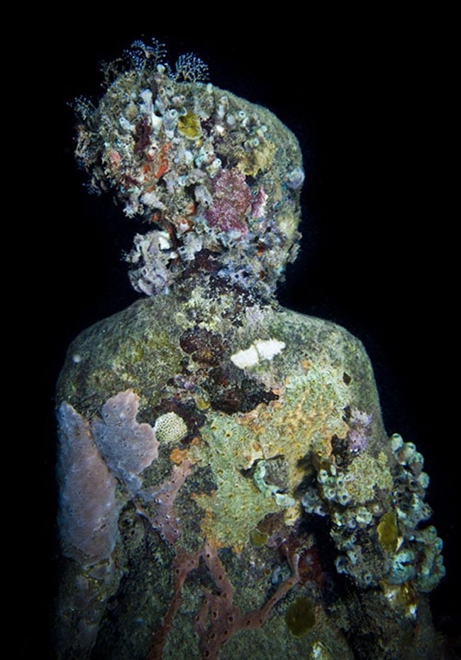 Dünyanın en büyük sualtı müzesi 8