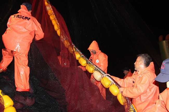 Yaşasın! Vira Bismillah 20