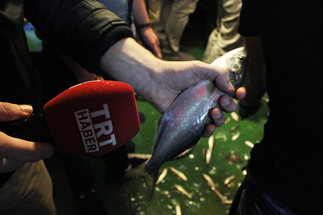 Yaşasın! Vira Bismillah 24