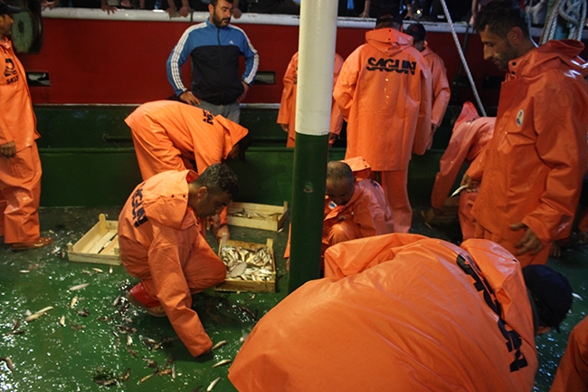 Yaşasın! Vira Bismillah 31