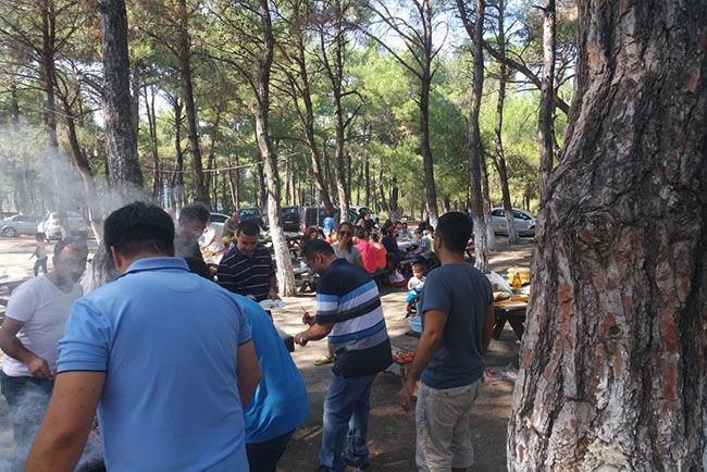 Deniz Trafik Operatörleri Derneği'nden yaza veda pikniği 15