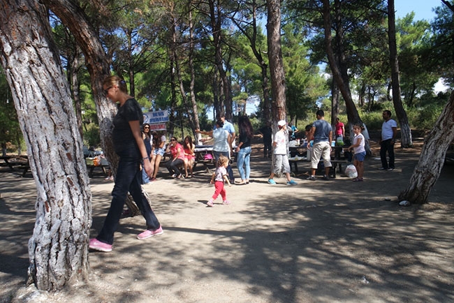 Deniz Trafik Operatörleri Derneği'nden yaza veda pikniği 5