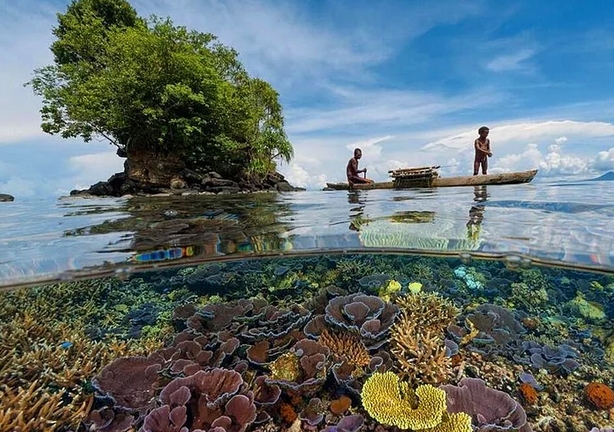 Sualtı ve suüstü 2