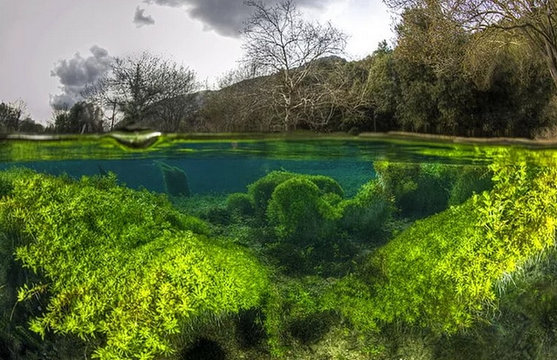 Sualtı ve suüstü 4