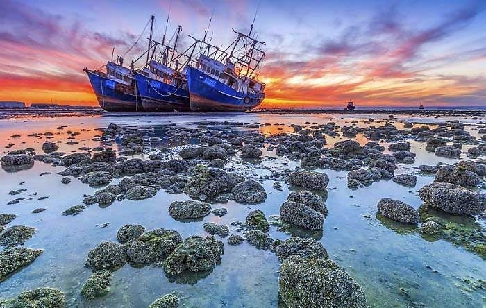 Dünya denizlerinin kimsesizleri 4