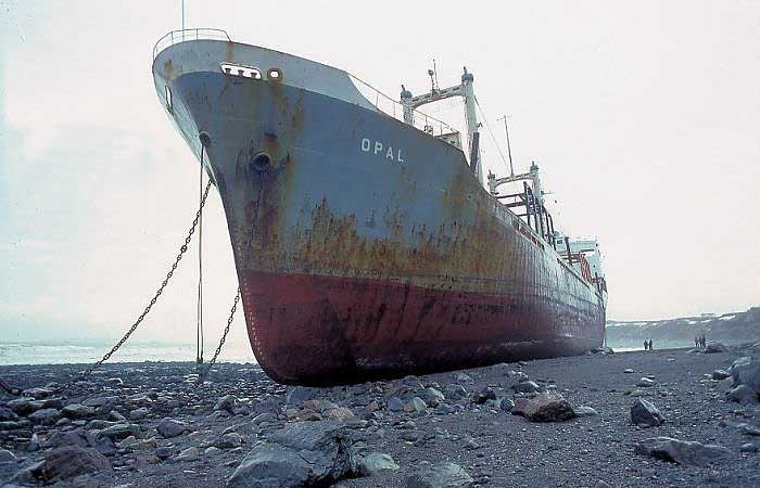 Dünya denizlerinin kimsesizleri 5