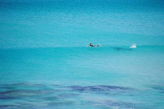 Arkasındaki tehlikeyi fark etmedi 1