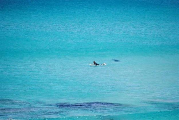 Arkasındaki tehlikeyi fark etmedi 2