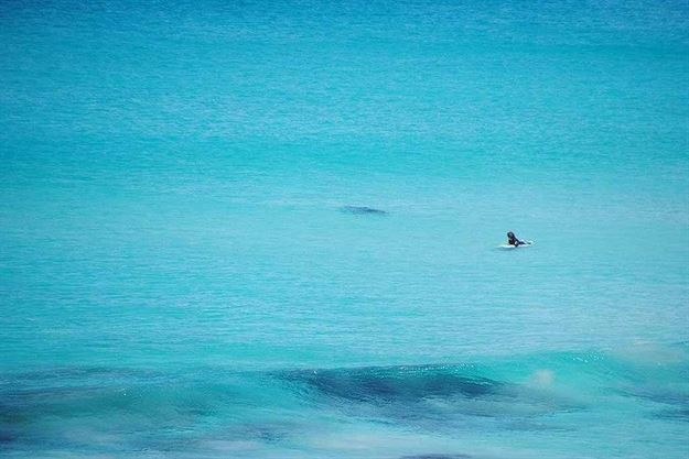 Arkasındaki tehlikeyi fark etmedi 3