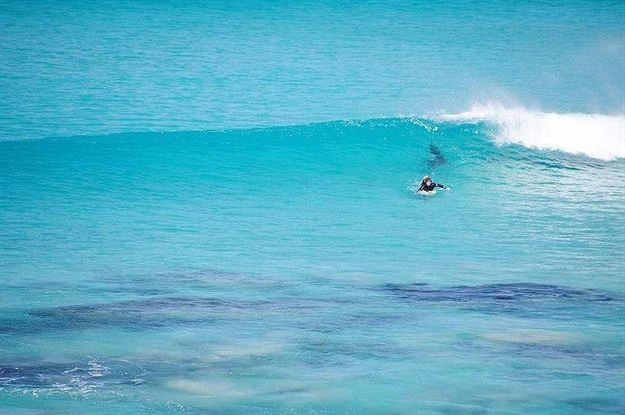 Arkasındaki tehlikeyi fark etmedi 6