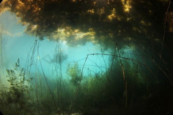 Sakarya Nehri'nin kaynağı görüntülendi 2
