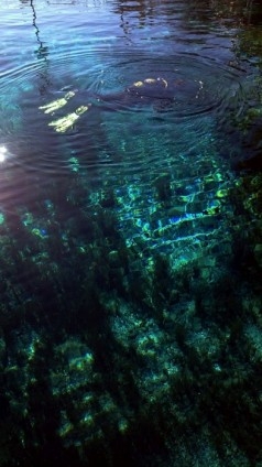Sakarya Nehri'nin kaynağı görüntülendi 5