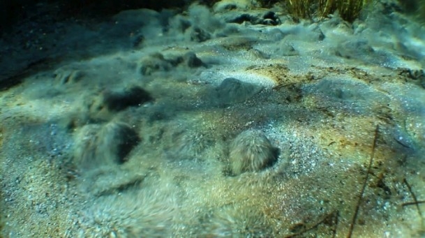 Sakarya Nehri'nin kaynağı görüntülendi 6