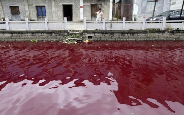 Endüstriyel kirlilik dünya sularını tehdit ediyor 2