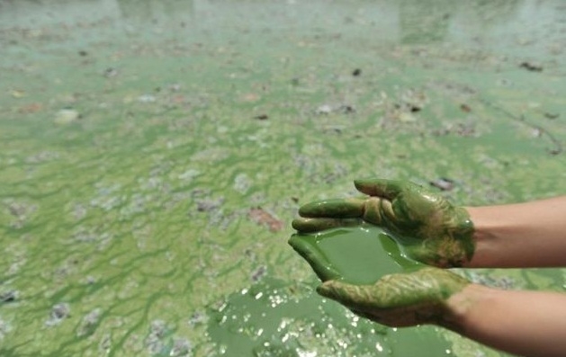 Endüstriyel kirlilik dünya sularını tehdit ediyor 4