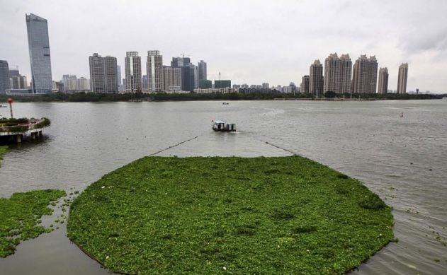 Endüstriyel kirlilik dünya sularını tehdit ediyor 7