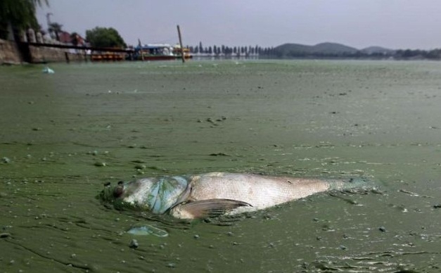 Endüstriyel kirlilik dünya sularını tehdit ediyor 9
