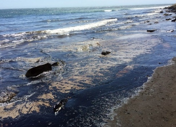 21 bin galon petrol okyanusa sızdı 5