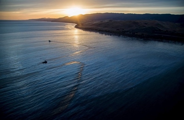 21 bin galon petrol okyanusa sızdı 8