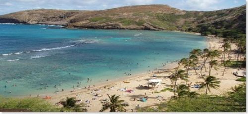 İşte Lost adası 17