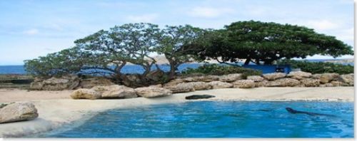 İşte Lost adası 18