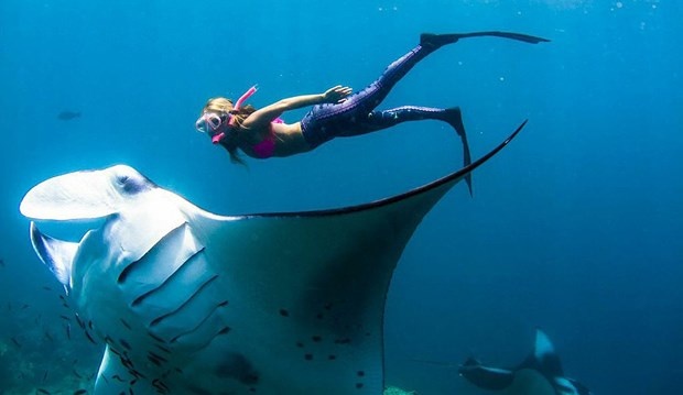 'Dişi Indiana Jones' Paris'i unutmadı 4