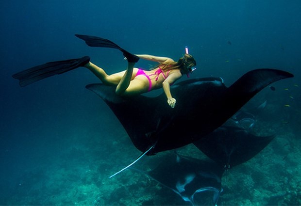 'Dişi Indiana Jones' Paris'i unutmadı 5