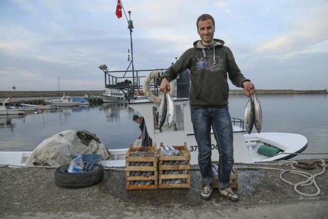 Palamutlar göç yolunda, balıkçılar tetikte 2