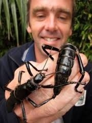 Okyanusun ortasında bir mucize 10