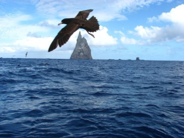 Okyanusun ortasında bir mucize 13
