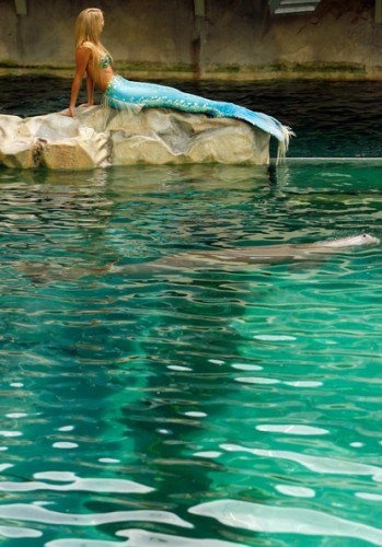 İşte gerçek denizkızı! 12