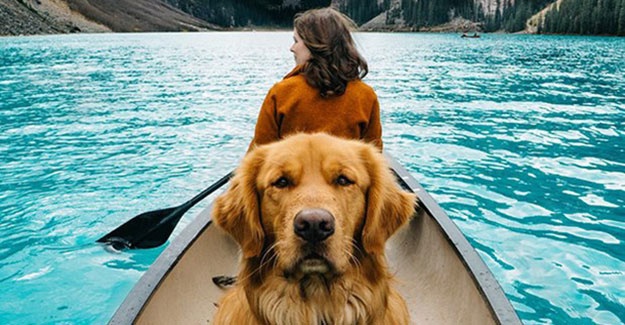 Sosyal medyanın yeni fenomeni Aspen 20